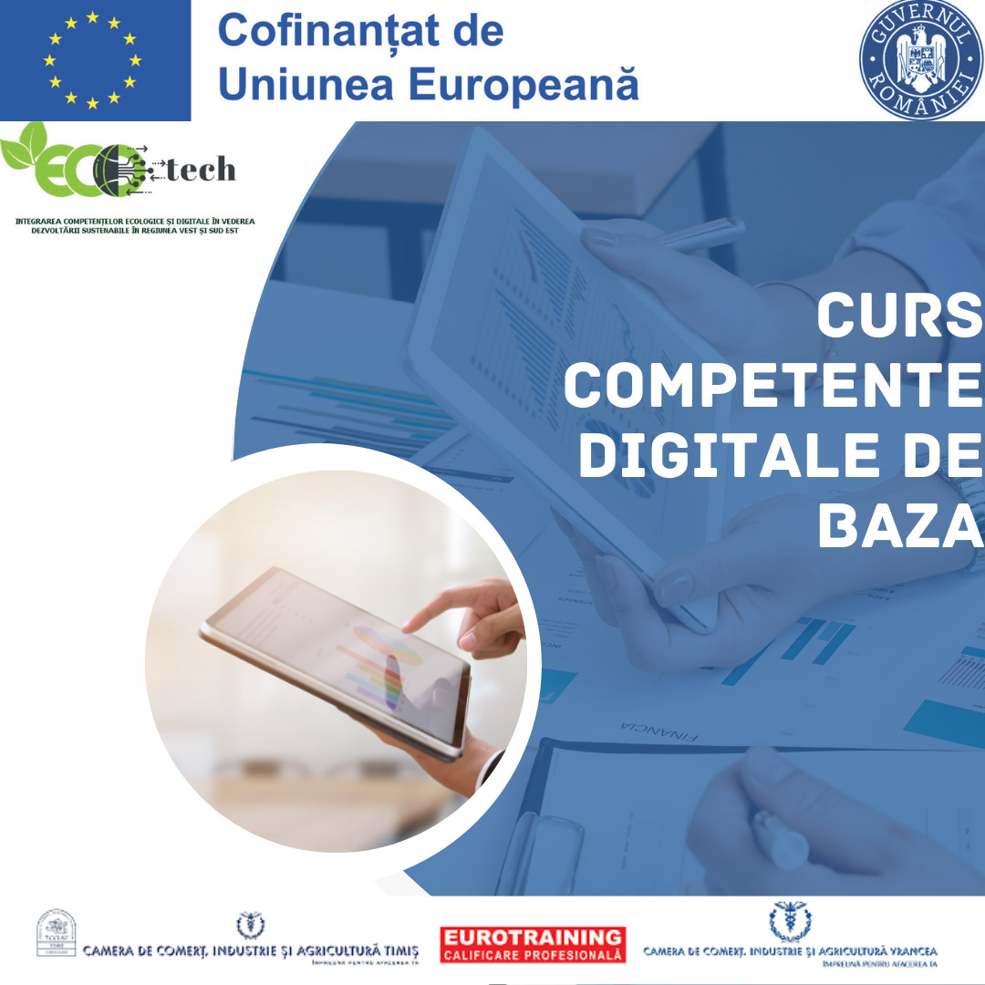 Competente digitale - Grupa 3